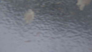 Sporthotel Kurzovní - Přístup na běžeckou trať - 4.2.2026 v 07:45 Sporthotel Kurzovní - Přístup na běžeckou trať - 4.2.2026 v 07:45