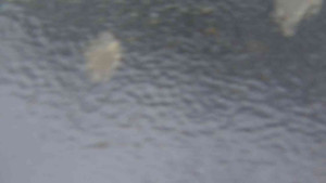 Sporthotel Kurzovní - Přístup na běžeckou trať - 4.2.2026 v 08:00 Sporthotel Kurzovní - Přístup na běžeckou trať - 4.2.2026 v 08:00