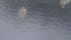 Přístup na běžeckou trať