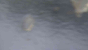 Sporthotel Kurzovní - Přístup na běžeckou trať - 4.2.2026 v 08:10 Sporthotel Kurzovní - Přístup na běžeckou trať - 4.2.2026 v 08:10