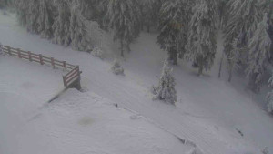 Sporthotel Kurzovní - Přístup na běžeckou trať - 4.2.2026 v 09:00 Sporthotel Kurzovní - Přístup na běžeckou trať - 4.2.2026 v 09:00