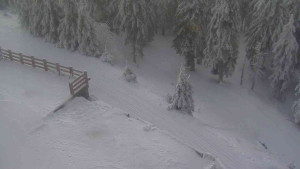 Sporthotel Kurzovní - Přístup na běžeckou trať - 4.2.2026 v 09:05 Sporthotel Kurzovní - Přístup na běžeckou trať - 4.2.2026 v 09:05