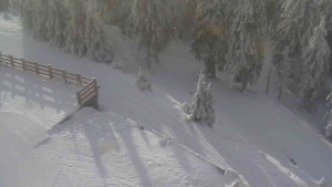 Sporthotel Kurzovní - Přístup na běžeckou trať - 4.2.2026 v 09:15 Sporthotel Kurzovní - Přístup na běžeckou trať - 4.2.2026 v 09:15