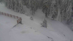 Sporthotel Kurzovní - Přístup na běžeckou trať - 4.2.2026 v 09:45 Sporthotel Kurzovní - Přístup na běžeckou trať - 4.2.2026 v 09:45