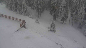 Sporthotel Kurzovní - Přístup na běžeckou trať - 4.2.2026 v 10:10 Sporthotel Kurzovní - Přístup na běžeckou trať - 4.2.2026 v 10:10