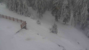 Sporthotel Kurzovní - Přístup na běžeckou trať - 4.2.2026 v 10:15 Sporthotel Kurzovní - Přístup na běžeckou trať - 4.2.2026 v 10:15