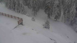 Sporthotel Kurzovní - Přístup na běžeckou trať - 4.2.2026 v 10:30 Sporthotel Kurzovní - Přístup na běžeckou trať - 4.2.2026 v 10:30