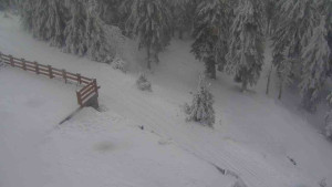 Sporthotel Kurzovní - Přístup na běžeckou trať - 4.2.2026 v 10:35 Sporthotel Kurzovní - Přístup na běžeckou trať - 4.2.2026 v 10:35