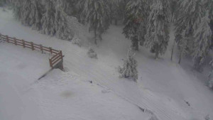 Sporthotel Kurzovní - Přístup na běžeckou trať - 4.2.2026 v 10:45 Sporthotel Kurzovní - Přístup na běžeckou trať - 4.2.2026 v 10:45