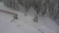 Přístup na běžeckou trať