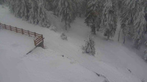 Sporthotel Kurzovní - Přístup na běžeckou trať - 4.2.2026 v 11:25 Sporthotel Kurzovní - Přístup na běžeckou trať - 4.2.2026 v 11:25