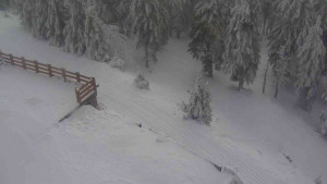 Sporthotel Kurzovní - Přístup na běžeckou trať - 4.2.2026 v 11:35 Sporthotel Kurzovní - Přístup na běžeckou trať - 4.2.2026 v 11:35