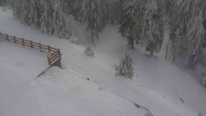 Sporthotel Kurzovní - Přístup na běžeckou trať - 4.2.2026 v 11:45 Sporthotel Kurzovní - Přístup na běžeckou trať - 4.2.2026 v 11:45