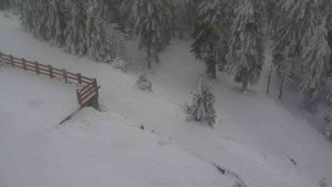 Sporthotel Kurzovní - Přístup na běžeckou trať - 4.2.2026 v 12:10 Sporthotel Kurzovní - Přístup na běžeckou trať - 4.2.2026 v 12:10