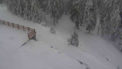 Přístup na běžeckou trať