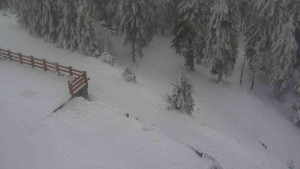 Sporthotel Kurzovní - Přístup na běžeckou trať - 4.2.2026 v 12:15 Sporthotel Kurzovní - Přístup na běžeckou trať - 4.2.2026 v 12:15