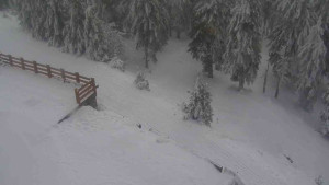 Sporthotel Kurzovní - Přístup na běžeckou trať - 4.2.2026 v 12:20 Sporthotel Kurzovní - Přístup na běžeckou trať - 4.2.2026 v 12:20