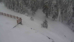 Přístup na běžeckou trať