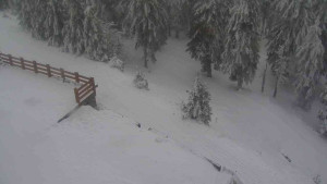 Sporthotel Kurzovní - Přístup na běžeckou trať - 4.2.2026 v 12:35 Sporthotel Kurzovní - Přístup na běžeckou trať - 4.2.2026 v 12:35