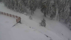 Přístup na běžeckou trať