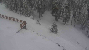 Sporthotel Kurzovní - Přístup na běžeckou trať - 4.2.2026 v 13:05 Sporthotel Kurzovní - Přístup na běžeckou trať - 4.2.2026 v 13:05