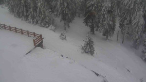 Sporthotel Kurzovní - Přístup na běžeckou trať - 4.2.2026 v 13:10 Sporthotel Kurzovní - Přístup na běžeckou trať - 4.2.2026 v 13:10