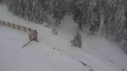 Přístup na běžeckou trať