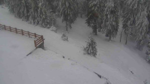 Sporthotel Kurzovní - Přístup na běžeckou trať - 4.2.2026 v 13:15 Sporthotel Kurzovní - Přístup na běžeckou trať - 4.2.2026 v 13:15