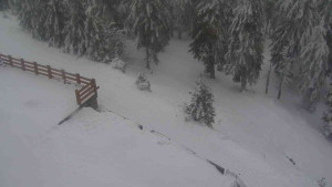 Sporthotel Kurzovní - Přístup na běžeckou trať - 4.2.2026 v 13:35 Sporthotel Kurzovní - Přístup na běžeckou trať - 4.2.2026 v 13:35