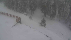 Sporthotel Kurzovní - Přístup na běžeckou trať - 4.2.2026 v 14:10 Sporthotel Kurzovní - Přístup na běžeckou trať - 4.2.2026 v 14:10