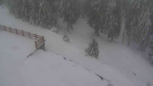 Sporthotel Kurzovní - Přístup na běžeckou trať - 4.2.2026 v 14:15 Sporthotel Kurzovní - Přístup na běžeckou trať - 4.2.2026 v 14:15