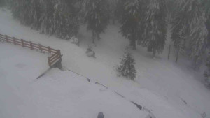 Sporthotel Kurzovní - Přístup na běžeckou trať - 4.2.2026 v 14:40 Sporthotel Kurzovní - Přístup na běžeckou trať - 4.2.2026 v 14:40