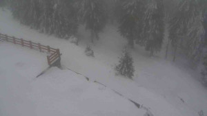 Sporthotel Kurzovní - Přístup na běžeckou trať - 4.2.2026 v 15:05 Sporthotel Kurzovní - Přístup na běžeckou trať - 4.2.2026 v 15:05