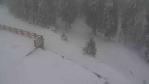 Sporthotel Kurzovní - Přístup na běžeckou trať - 4.2.2026 v 15:10 Sporthotel Kurzovní - Přístup na běžeckou trať - 4.2.2026 v 15:10