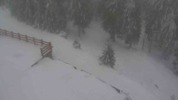 Přístup na běžeckou trať