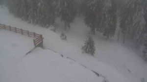 Sporthotel Kurzovní - Přístup na běžeckou trať - 4.2.2026 v 15:30 Sporthotel Kurzovní - Přístup na běžeckou trať - 4.2.2026 v 15:30