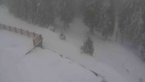 Sporthotel Kurzovní - Přístup na běžeckou trať - 4.2.2026 v 15:35 Sporthotel Kurzovní - Přístup na běžeckou trať - 4.2.2026 v 15:35