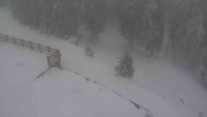 Sporthotel Kurzovní - Přístup na běžeckou trať - 4.2.2026 v 15:45 Sporthotel Kurzovní - Přístup na běžeckou trať - 4.2.2026 v 15:45