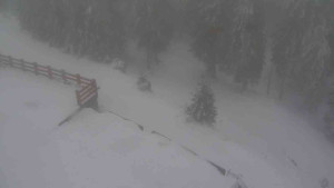 Sporthotel Kurzovní - Přístup na běžeckou trať - 4.2.2026 v 15:50 Sporthotel Kurzovní - Přístup na běžeckou trať - 4.2.2026 v 15:50