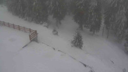 Přístup na běžeckou trať