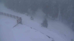 Přístup na běžeckou trať