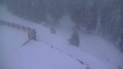 Přístup na běžeckou trať