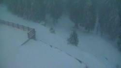 Přístup na běžeckou trať