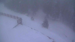 Přístup na běžeckou trať