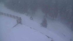 Přístup na běžeckou trať