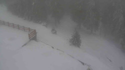 Přístup na běžeckou trať