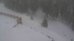 Přístup na běžeckou trať