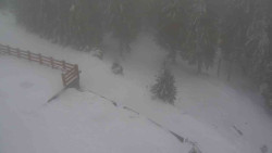 Přístup na běžeckou trať