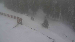 Přístup na běžeckou trať