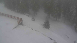 Přístup na běžeckou trať